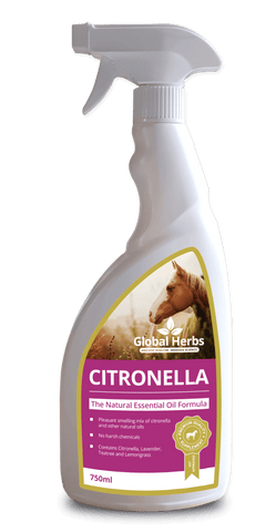 Global H Citronella Spray