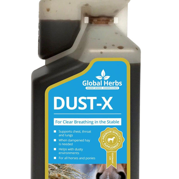 Global H Dust-X Syrup