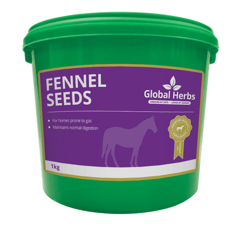 Global H Fennel