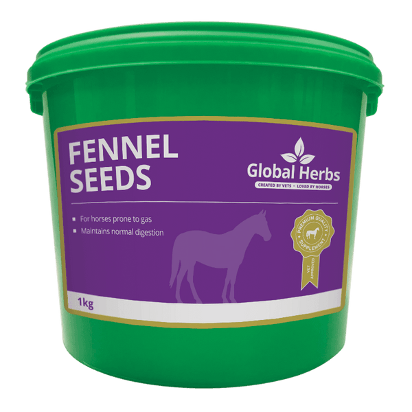 Global H Fennel