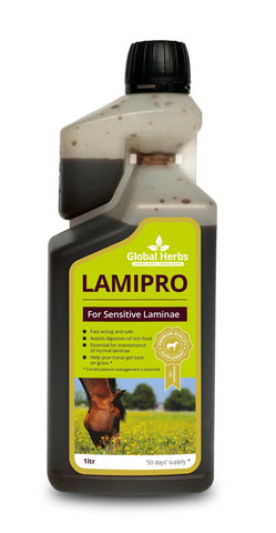 Global H LamiPro Liquid