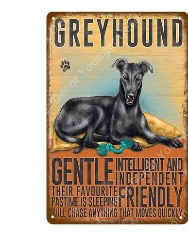 Greyhound Dog Tin Sign