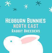 Hebburn Bunnies - Rabbit Reservation