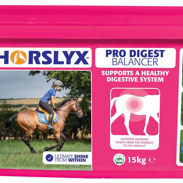 Horslyx Pro Digest Balancer Lick
