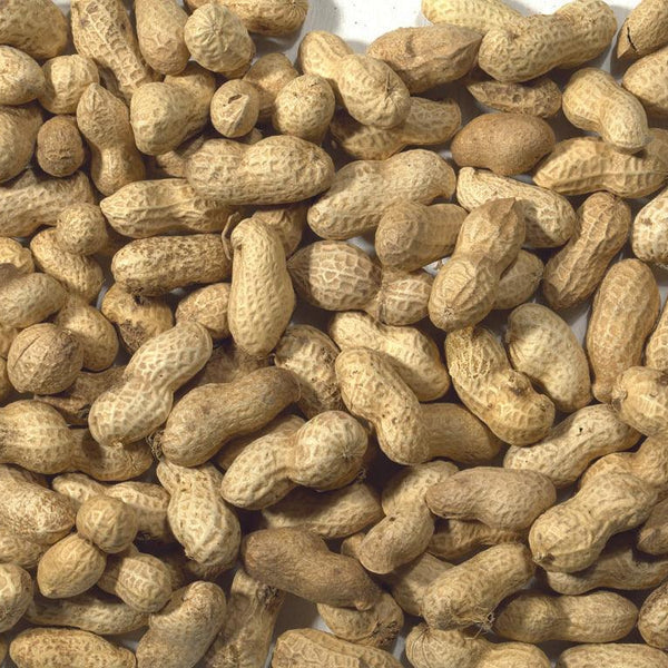 JJ Monkey Nuts in Shells 650g