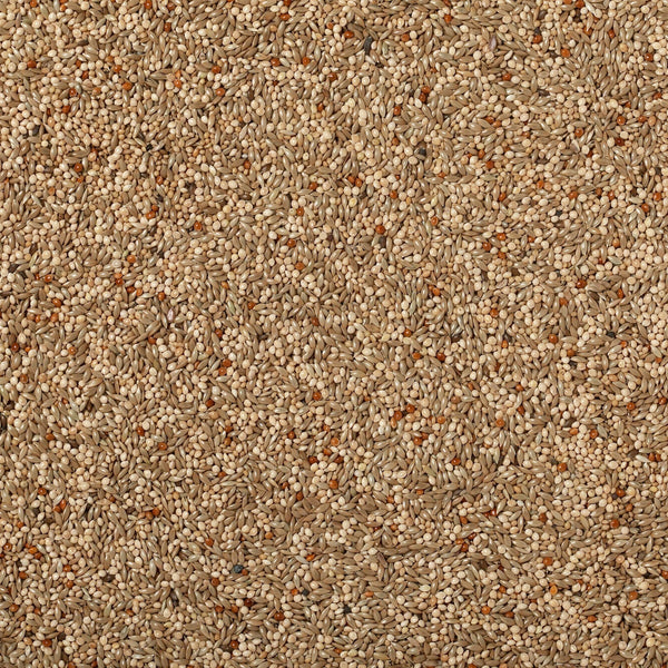 Johnston & Jeff Budgerigar Seed
