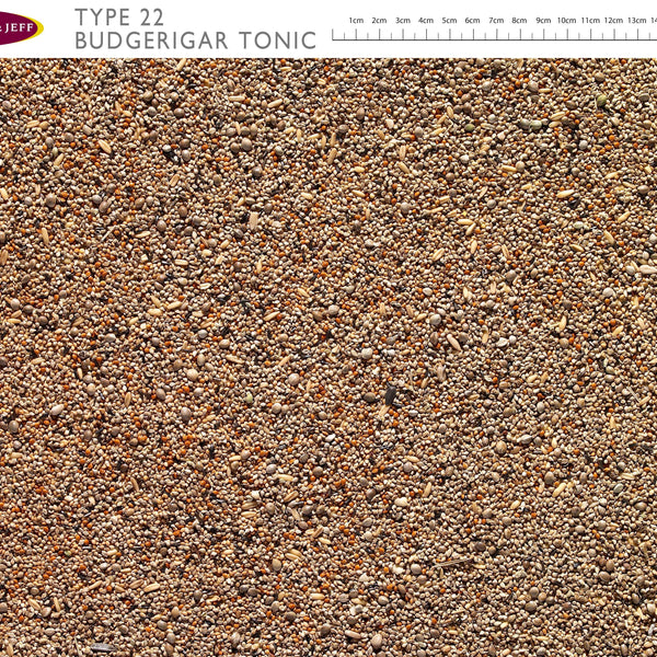 Johnston & Jeff Budgie Tonic Type 22