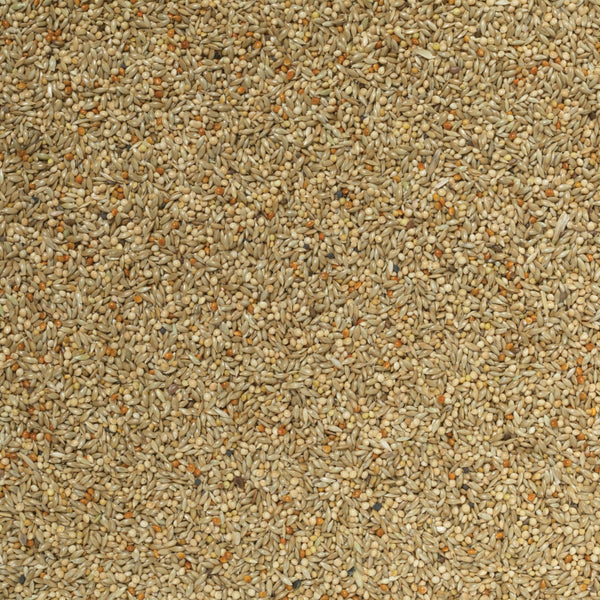 Johnston & Jeff Champions Choice Budgieseed