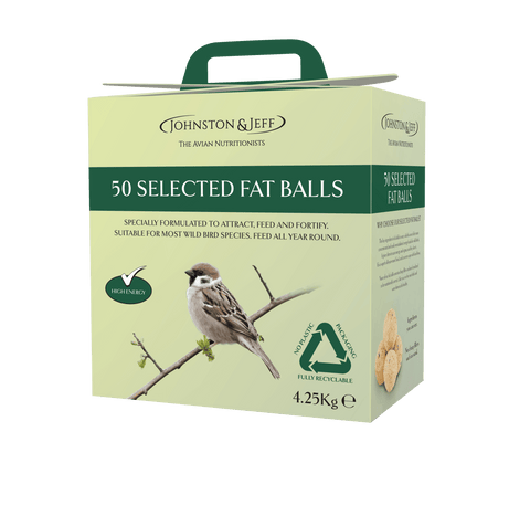 Johnston & Jeff Fatballs Refill No Nets Box x50
