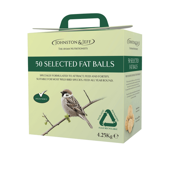 Johnston & Jeff Fatballs Refill No Nets Box x50