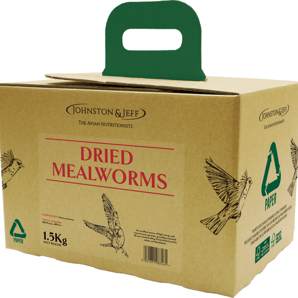Johnston & Jeff Mealworms in EcoBox