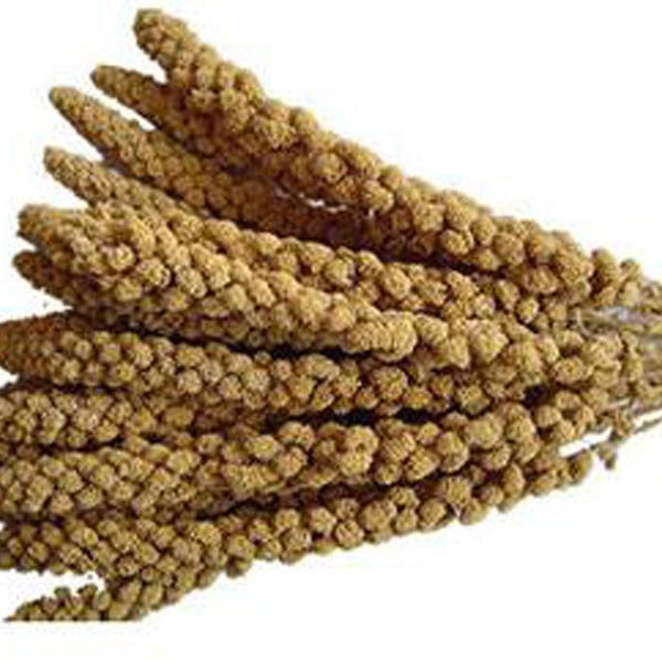 Johnston & Jeff Millet Spray Bird Treat 15kg