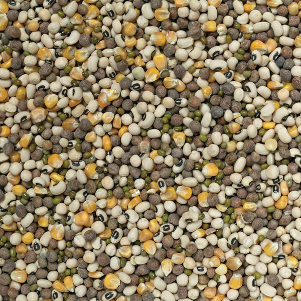 Johnston & Jeff Mixed Pulses