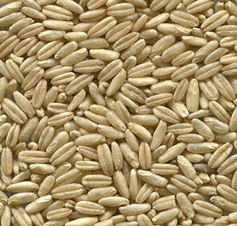 Johnston & Jeff Naked Oats