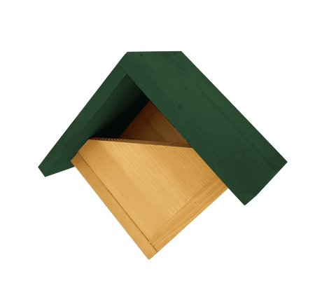 Johnston & Jeff Robin Nest Box with Green Roof