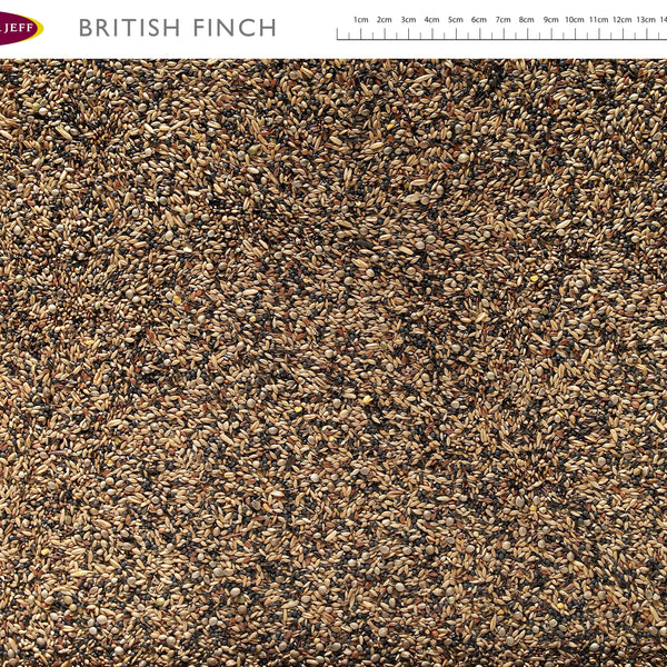 Johnston & Jeff Small British Finchseed