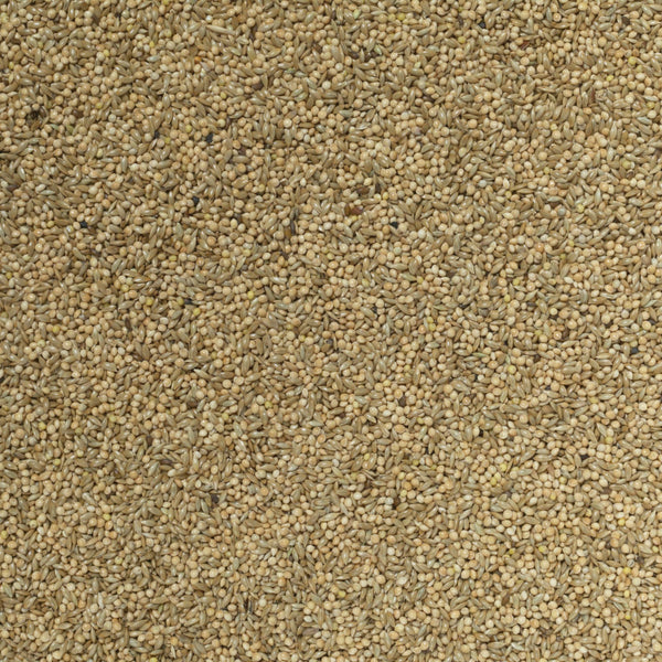 Johnston & Jeff Super 50 Budgieseed