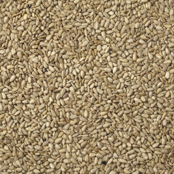 Johnston & Jeff White Sunflowerseed