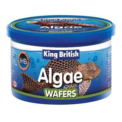 King British Algae Wafer with IHB