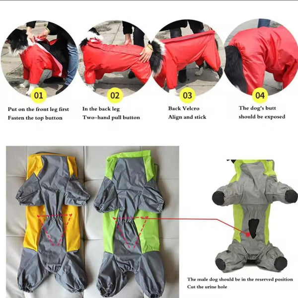 Large Dog Rain Coat - All-In-One