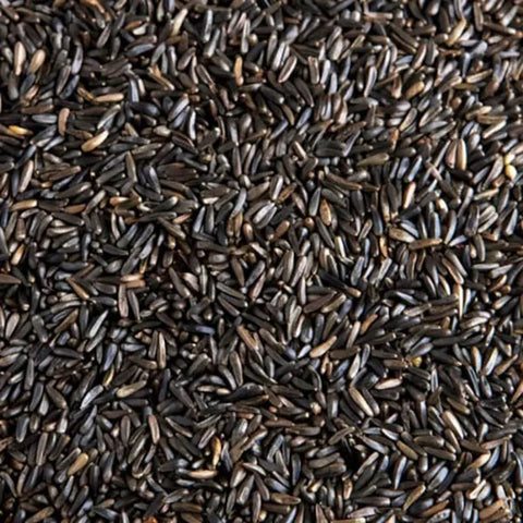 North East Pets Nigerseed 1kg