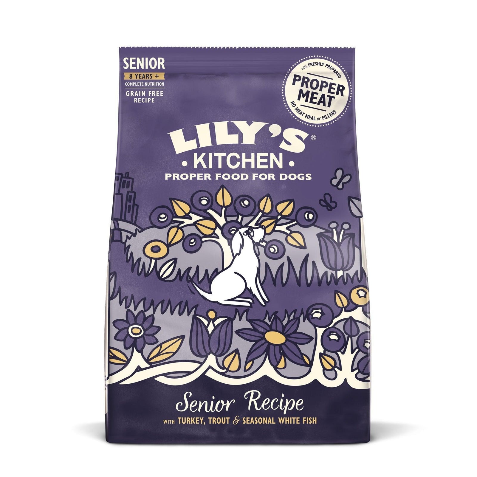 Lily's Kitchen Adult 8+ Salmon & Trout Dog 7kg