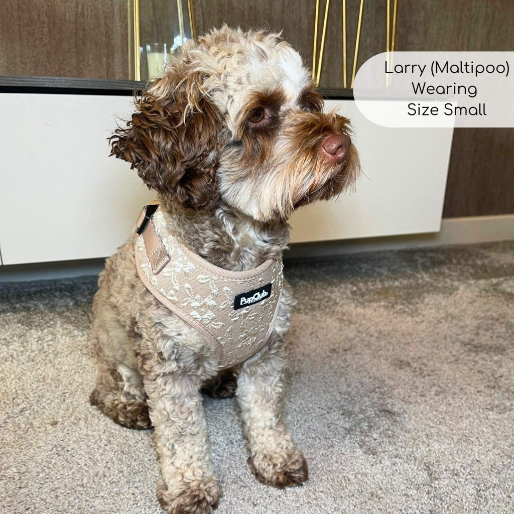 Luxe Adjustable Harness - Toffee Latte Petals