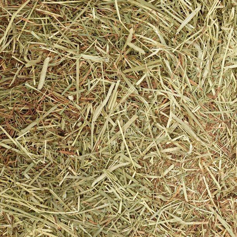 Meadow & Timothy XL Hay Bags