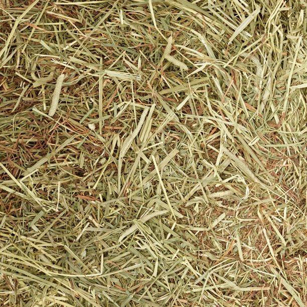 Meadow & Timothy XL Hay Bags