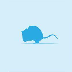 Monkfield Mouse, Small Pinkies, 25pack