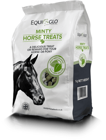 Mr Johnsons Equiglo Horse Treats & Herbs