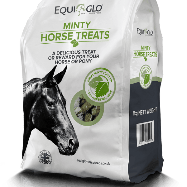 Mr Johnsons Equiglo Horse Treats & Herbs