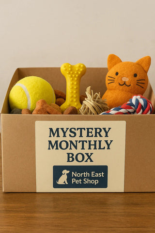 Pet Mystery Treat & Toy Box