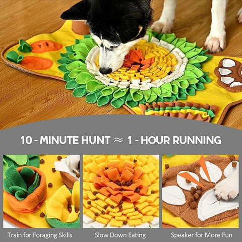 New Pet Treat Puzzle Mat