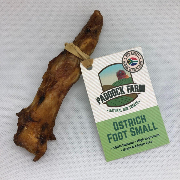 Ostrich Foot Small