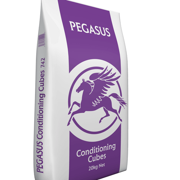Pegasus Conditioning Cubes