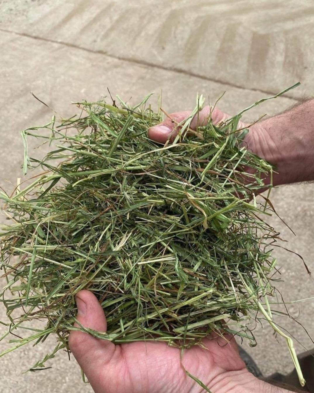Premium Dried Grass 1kg - NE Pets