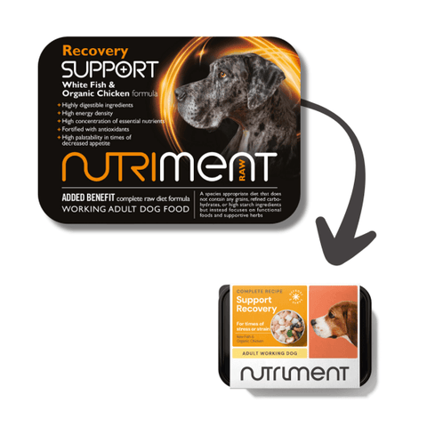 Recovery Support - 500g tub