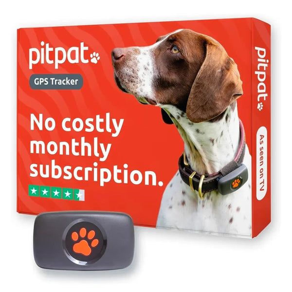 PitPat Collar GPS Tracker