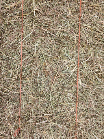 Meadow Hay Bale - The North East Pet Shop