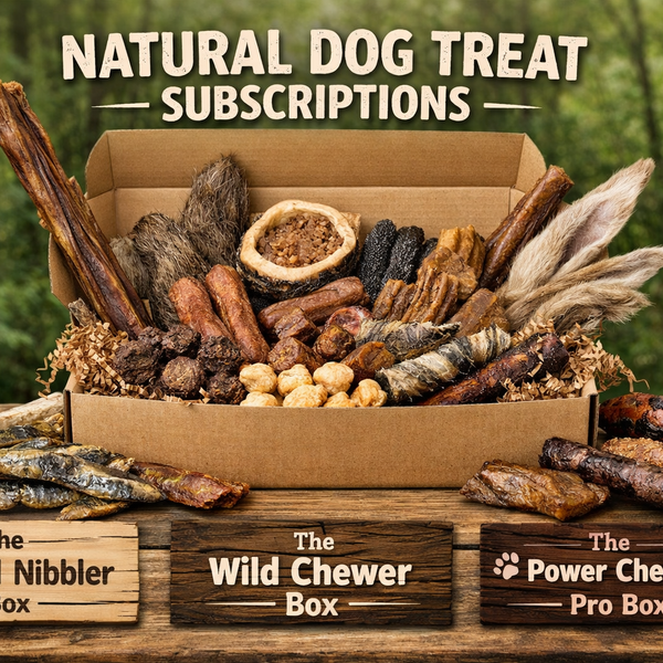 The Wild Chewer Box