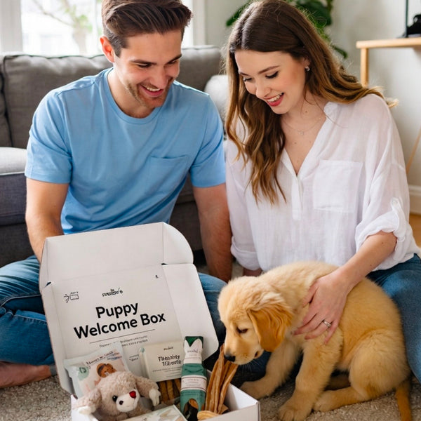 Puppy Welcome Home Box