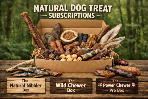 The Wild Chewer Box
