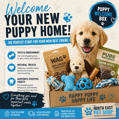 Puppy Welcome Home Box