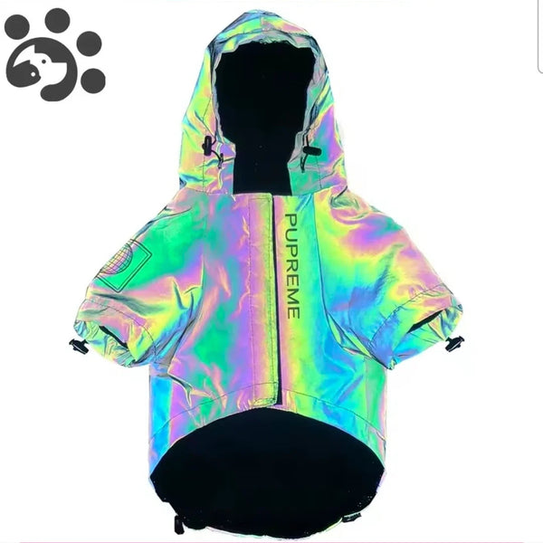 Dog Shack Flash!! Dog Coat