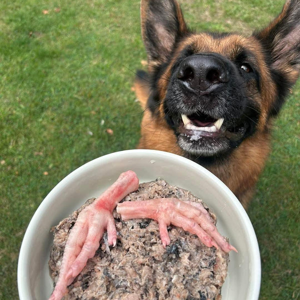 Chicken Feet 1kg - Tripefactory Sunderland - Natural Dried Dog Treats