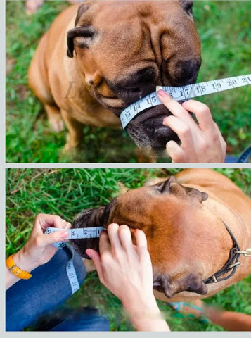 Dog Muzzle for French Bulldog "Frenchies" a Other similar snouts short snout