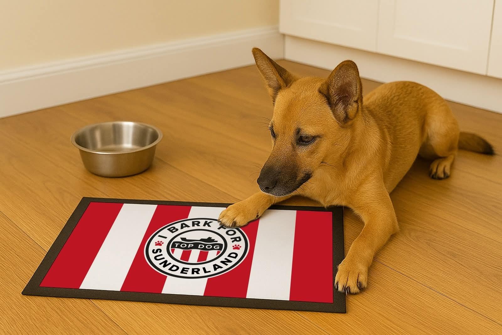 Sunderland SAFC Dog Feeding Mat