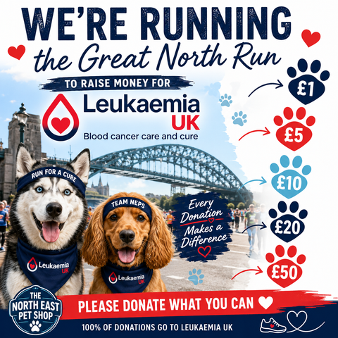 Donation to Leukaemia UK | Great North Run Fundraiser ❤️🏃‍♂️