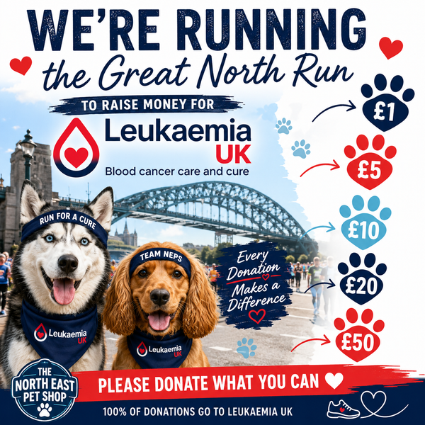 Donation to Leukaemia UK | Great North Run Fundraiser ❤️🏃‍♂️